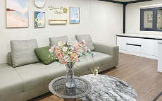 Фото Дельфин